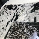 유워시셀프세차 이미지