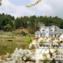 바우개펜션 이미지