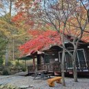 치악산자연휴양림 이미지