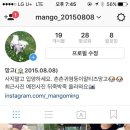 개님은 털빨 이미지