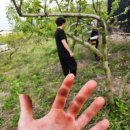 금일농장 이미지