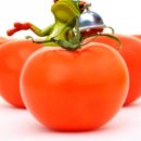 내고향젓갈상회 이미지