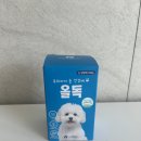 까미미용연구소 | 강아지 눈물 영양제 눈건강을 위한 올독 솔직 후기