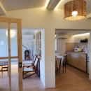 제주라일락 이미지