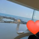 성산가는길 | 통창 바다뷰 볼 수 있는 카페 / 성산에서 공항가는길에 들른 후기💙 당근케이크, 말차라떼, 초코라떼