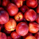 애프터짐 이미지