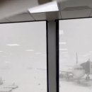 실시간 난리난 제주공항 근황 ㄷㄷㄷㄷ.GIF 이미지