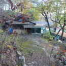 금릉동006 Daum카페