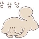 대명동 강아지 이미지