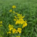 기분좋은 치과기공소 이미지