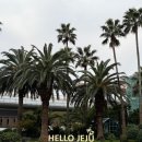 ㈜제주보고타렌트카 | 제주 보고타렌트카 슈퍼자차 내돈내산 후기 (제주도 당일치기여행 그린카 vs 렌터카업체 비교)