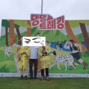 댕댕랜드 | 댕댕트레킹 2025 하이원리조트 힐콘도 힐펫룸 D동 1박2일 후기