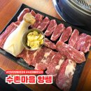 안양농업협동조합 | 안양 관양동 수촌마을 양쌤 숙성 양고기 화로구이, 양꼬치 맛집