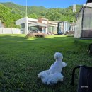 풀보석사우나 | 가평 애견동반 독채펜션 풀빌라 아다마스펜션 추천 조식 수영장 사우나 후기