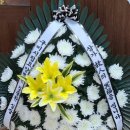 우리들사랑요양병원 이미지