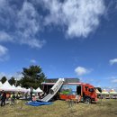 가시리 | 서귀포 유채꽃 축제 | 녹산로 가시리 벚꽃 명소 후기 (주차, 아이랑 가기 좋음)
