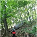 내곡동413 이미지