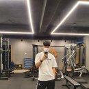 테디피트니스 이미지