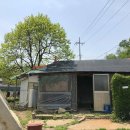 소금밭 교차로 2 이미지