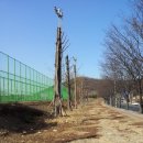 와동인조잔디구장 이미지