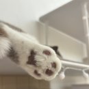 고영주택 이미지