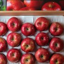 금계농원 이미지