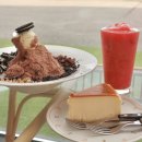 이리온 | 포천 일동 카페, 빙수🍧가 맛있는 팜앤카페 이리온 다녀온 후기