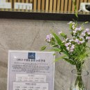스콜라플라워
