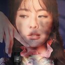 뽕나무길 이미지
