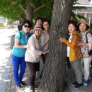 광시초등학교 이미지