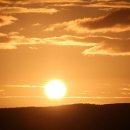 유식자동차 이미지