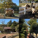 동부목장 | 제주도 아이와 갈만한곳 길갈팜랜드 겨울 동쪽 목장 체험