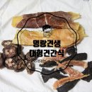 명랑견생