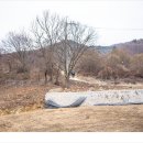 고원농장 이미지