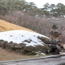 흥령선원지 Daum카페