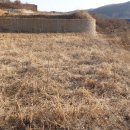 나무와 숲 어린이집 이미지