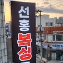 선홍복싱클럽 이미지