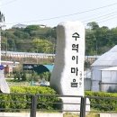 묘한 댕린이집 | 덕양구 맛집 수역이마을 23년 내공이 담긴 송화 쭈꾸미와 산채보리후기