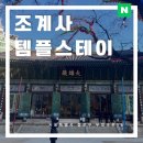 소나무한식부페 | 서울 템플스테이 추천 조계사 체험형 템플 1박2일 자세한 후기