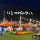 코코숲 바베큐&amp;글램핑 내돈내산!