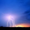 선은식농장 이미지