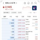 엠에스지주 이미지