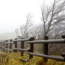 아프로목장 이미지