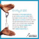 오세훈의도박/국회마녀사냥/무능mb정권/근혜당/mb퇴임후 5대의혹 까기와 전과기록현황/철없는홍준표/무식한중앙일보.김진 이미지