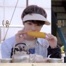 착한강아지