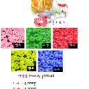 사창4리 이미지