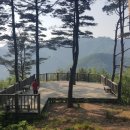 명품 1호 이미지