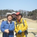 상록수이용원 Daum카페