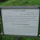 구억리 노랑굴 이미지