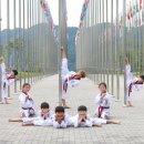 용인대백호태권도 이미지